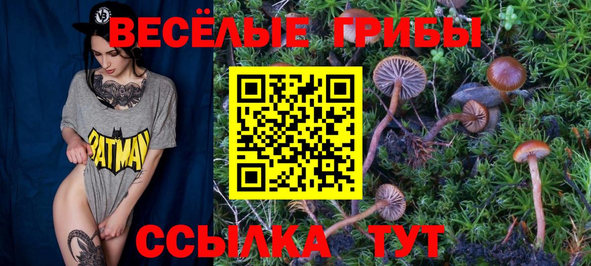 Галлюциногенные грибы Magic Shrooms  Вход с VPN  Камень-на-Оби 